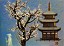 jyunrei