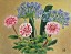 dahlia_agapanthus