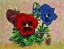pansy